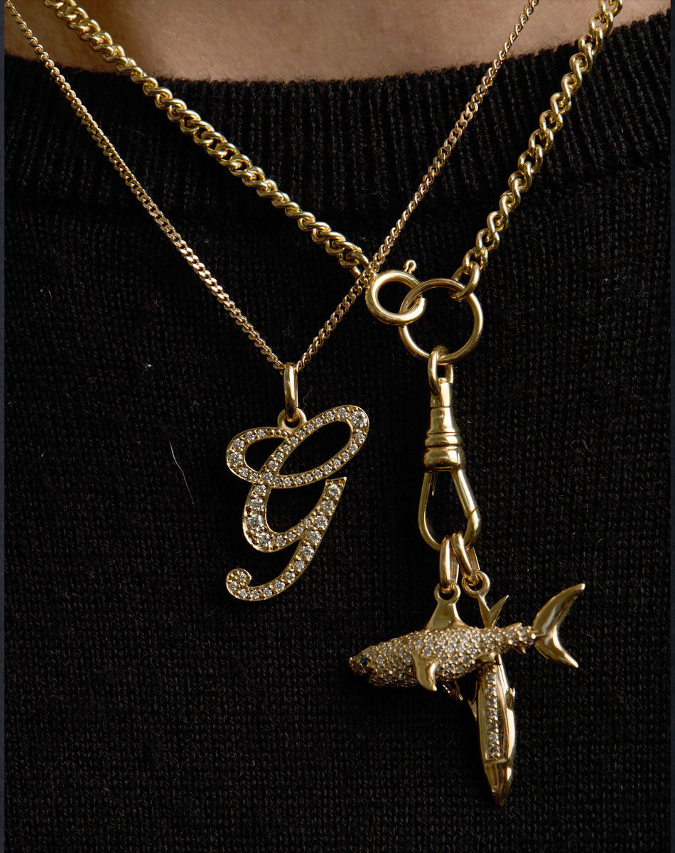 Two gold Meadowlark necklaces with pendants on a black background