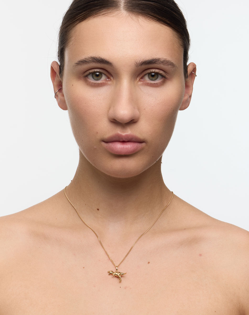 Dinosaur Charm Necklace | 9ct Solid Gold