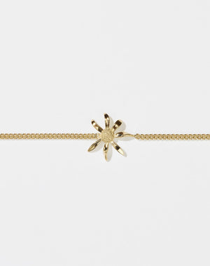 A gold bracelet featuring a daisy charm suspended between a classic curb chain.