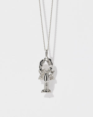 A sterling silver lobster charm necklace with a fine chain