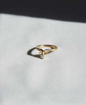 Starburst Band | 9ct Yellow Gold