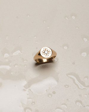 Ursa Signet Ring | 9ct Solid Gold