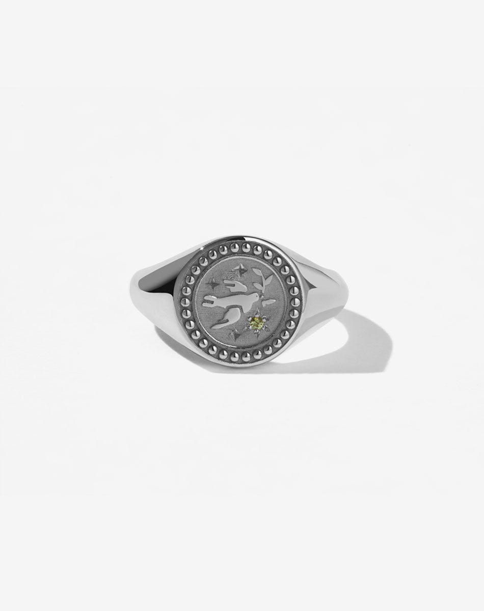 Amulet Peace Signet Ring | Sterling Silver