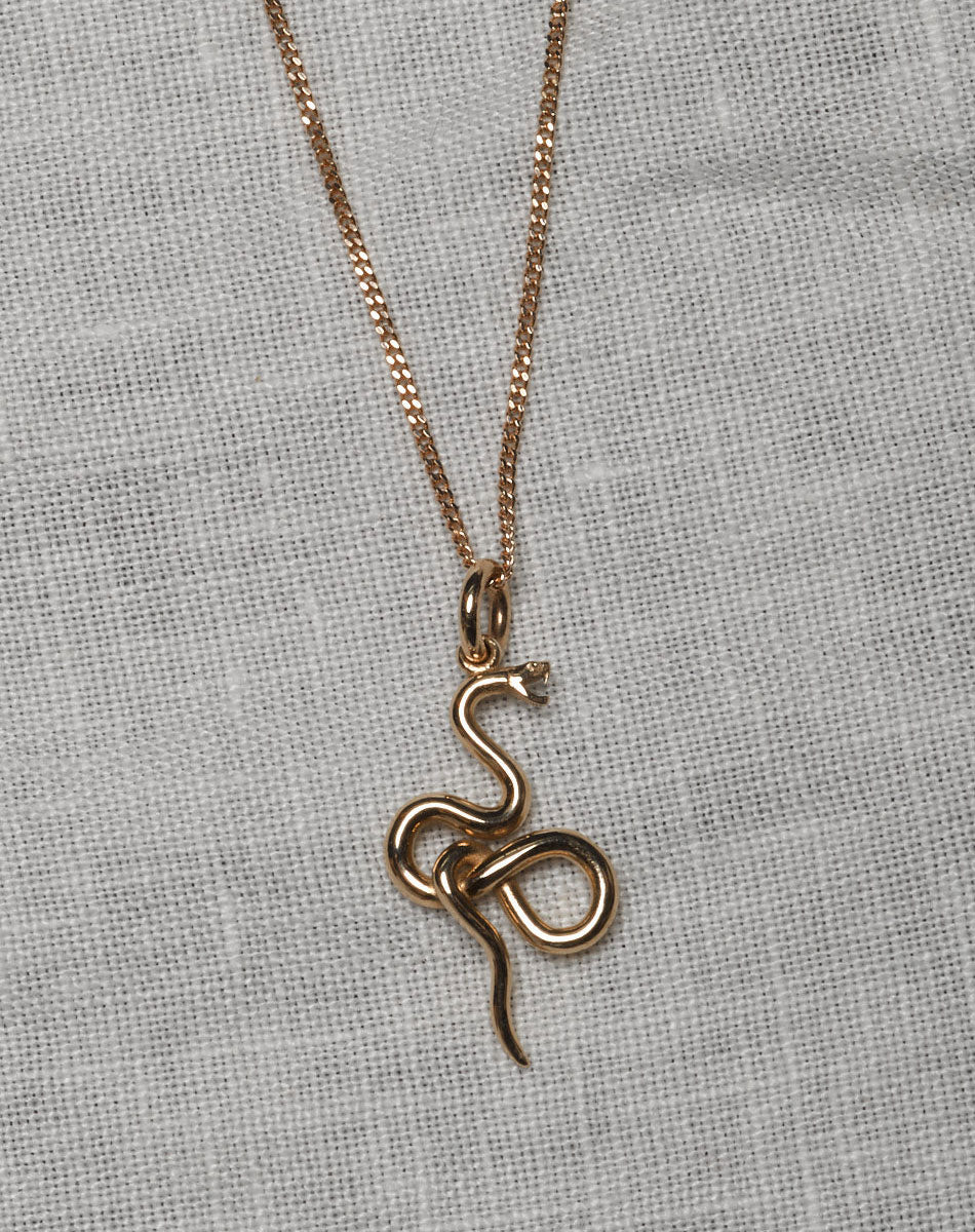 Medusa Necklace | Sterling Silver